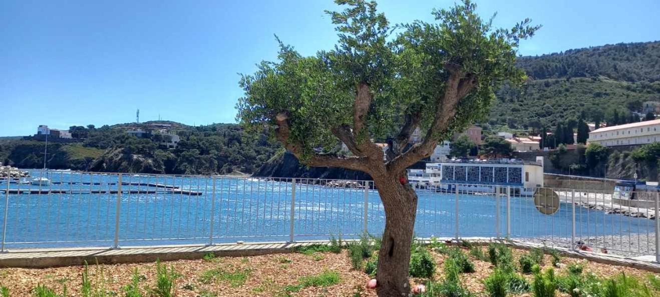 Appart F3 A 150 M De La Plage Avec Parking Prive แซร์แบ ภายนอก รูปภาพ