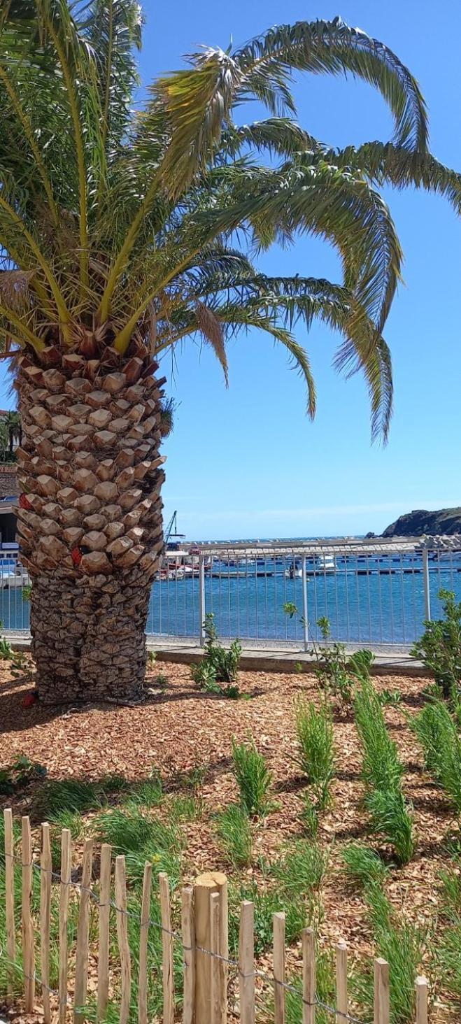 Appart F3 A 150 M De La Plage Avec Parking Prive แซร์แบ ภายนอก รูปภาพ